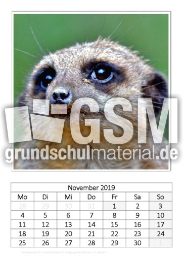 November_Erdmännchen.pdf